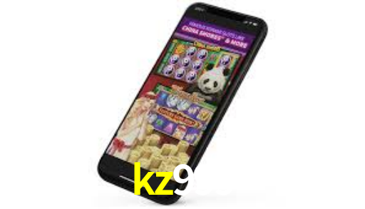 Interface Premium kz999